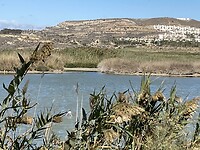 IMG_2907
