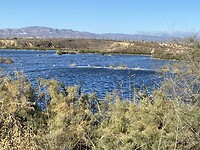 IMG_2908
