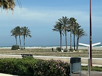 IMG_2961