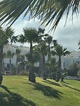 IMG_2967