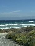 IMG_2969