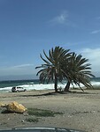 IMG_2972