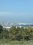 IMG_2975