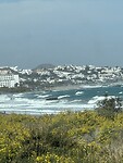 IMG_2977