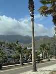 IMG_2978