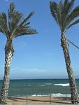 IMG_2981