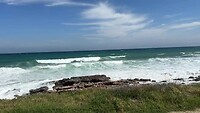IMG_2963