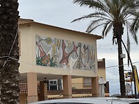 IMG_2992