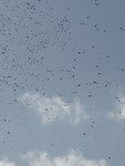 IMG_3027