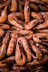 IMG_3533