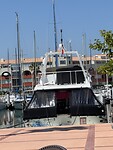 IMG_3788