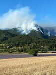 IMG_4044