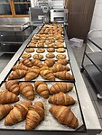 IMG_4606
