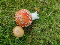 IMG_20220902_142130