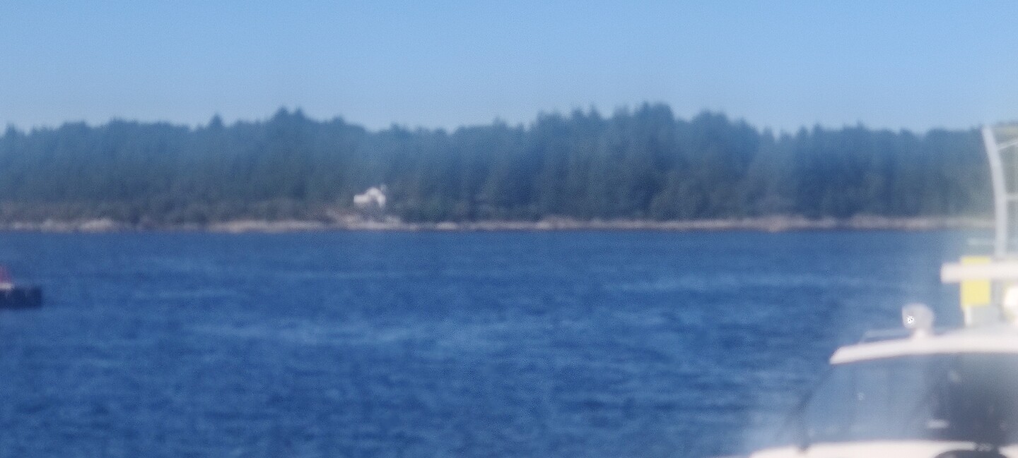 Lavik