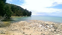 Abel Tasman national park