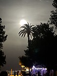 CD659E21-616C-4FEA-B4BC-ED114BCB1CD9