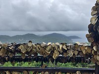 IMG_20190622_130548