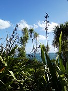 IMG_0072