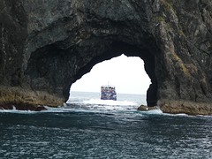 IMG_0114
