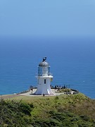 IMG_0120