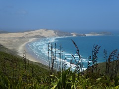 IMG_0121