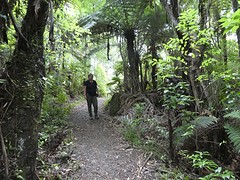 IMG_0134