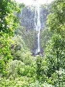 IMG_0144