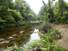 IMG_0145