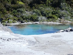 IMG_0147