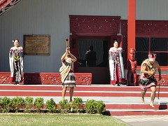 IMG_0148