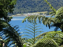 IMG_0152