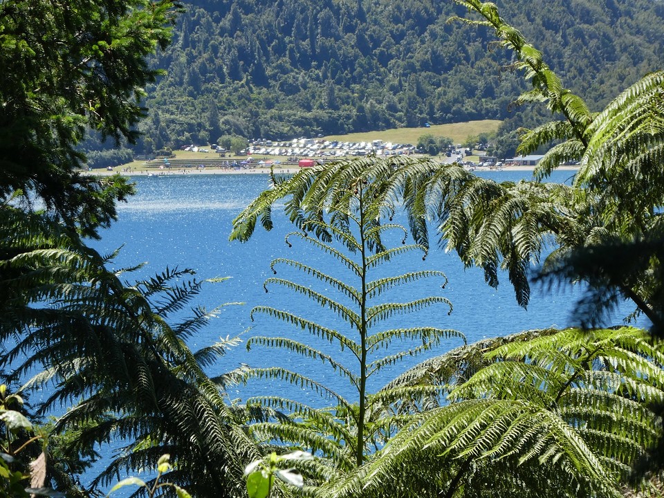 IMG_0152