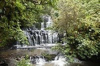 Purakauifalls