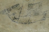 Rotstekeningen van de Maori