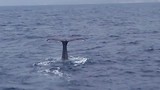 20170304_111742