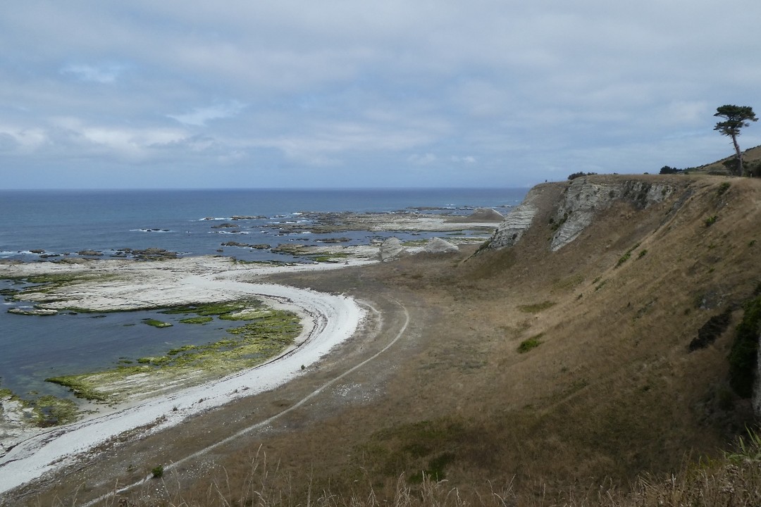 De wandeling over de kliffen van Kaikoura
