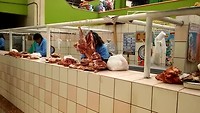 20180926_103615
