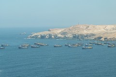 langs de kust