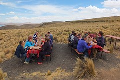 met zijn z`n allen picknicken