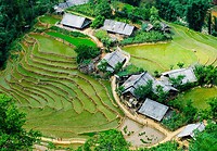 Sapa’s