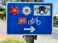 IMG_2107