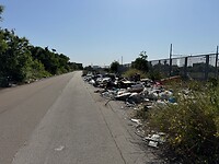 IMG_3606