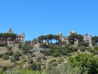 IMG_3716