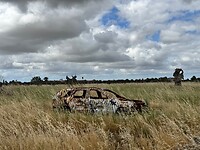 IMG_3767