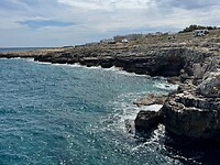 IMG_3833