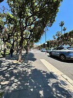 IMG_3886