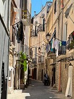 IMG_3890
