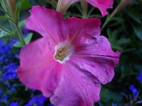 20180805_200508