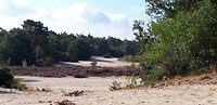 20180818_100329